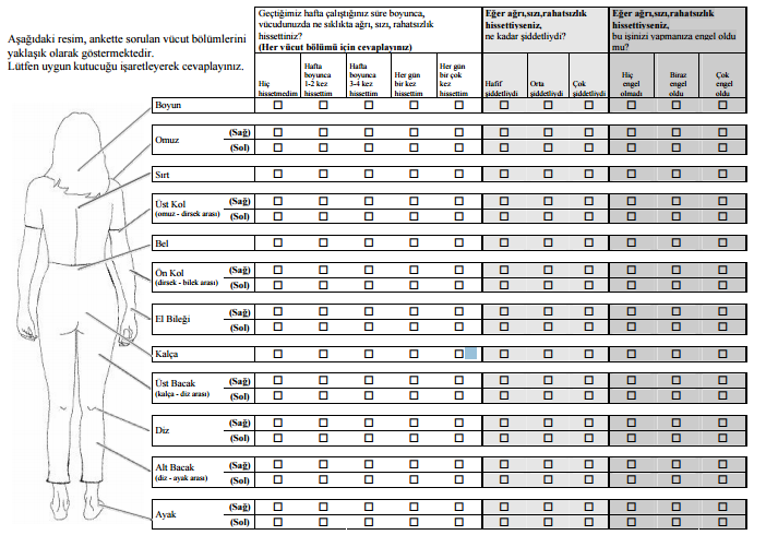 Cornel Musculoskeletal Questionnaire in Limesurvey - LimeSurvey forums