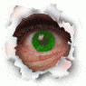 TODDMAN's Avatar
