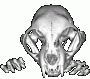 medmen's Avatar