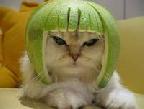 McNeil's Avatar
