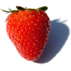 Freshofruits's Avatar
