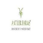 AntlerFarms's Avatar