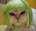 Yoh_lime's Avatar