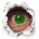 TODDMAN's Avatar