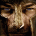 spartacus01's Avatar