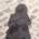 Paulam's Avatar